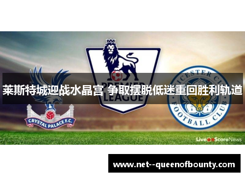 莱斯特城迎战水晶宫 争取摆脱低迷重回胜利轨道