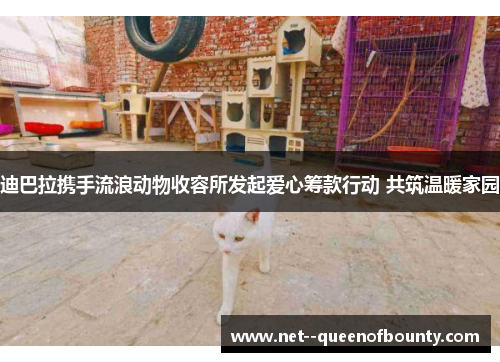 迪巴拉携手流浪动物收容所发起爱心筹款行动 共筑温暖家园